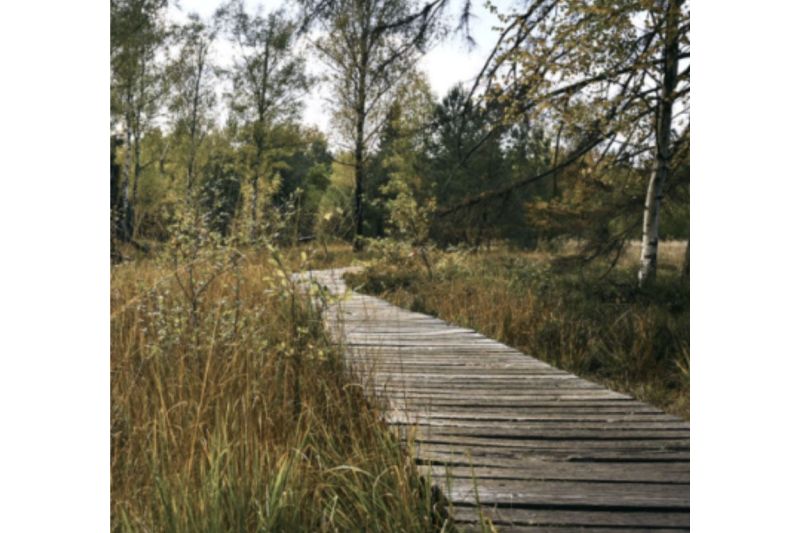 Our guide to hardwood timber bog mats