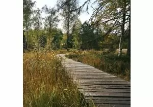 PROGUARD HARDWOOD TIMBER BOG MAT 3M X 1M X 100MM