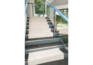 PROGUARD® STAIR TREAD GUARD 1000MM X 280MM X 2MM